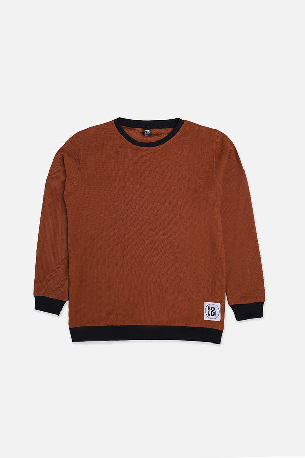 Boys Brown Sweat Shirt