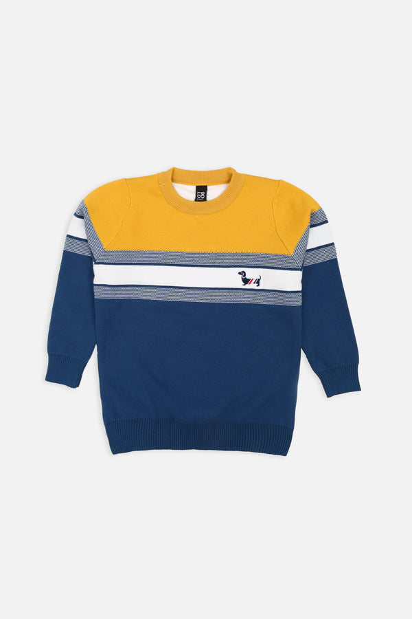 Boys Blue Panel Sweater