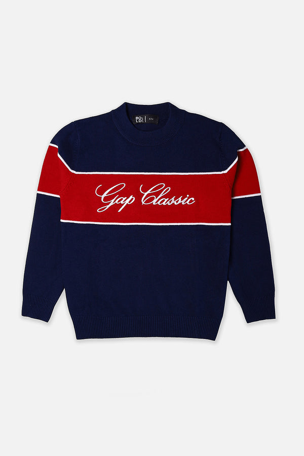 Boys Navy Gap Classic Red Panel Sweater