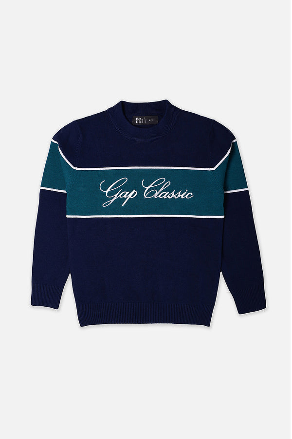 Boys Navy Gap Classic Green Panel Sweater