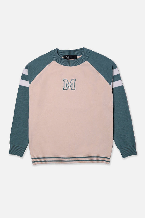 Boys Beige M Embroidered Sweater