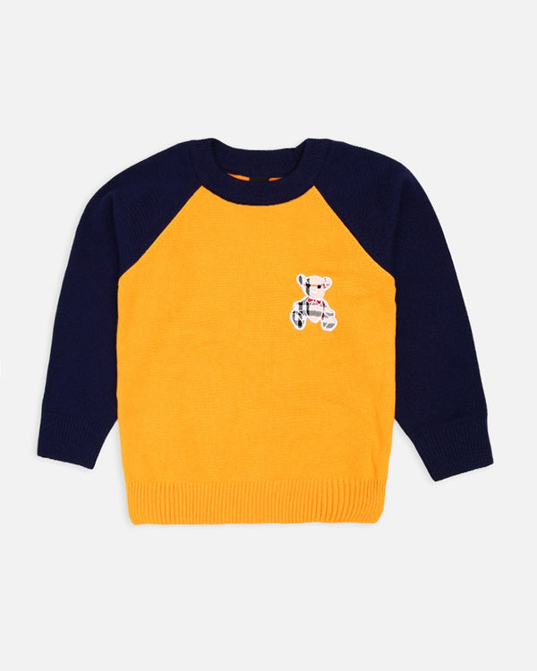 Boys Mustard Sweater With Front Patch