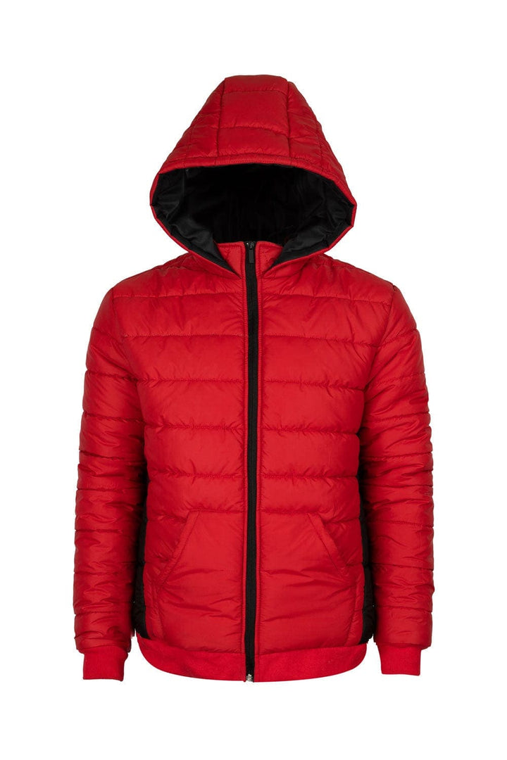 Bold Street Store -  High Fashion Puffer Jacket With Cut and Sew Panel and Hoodie