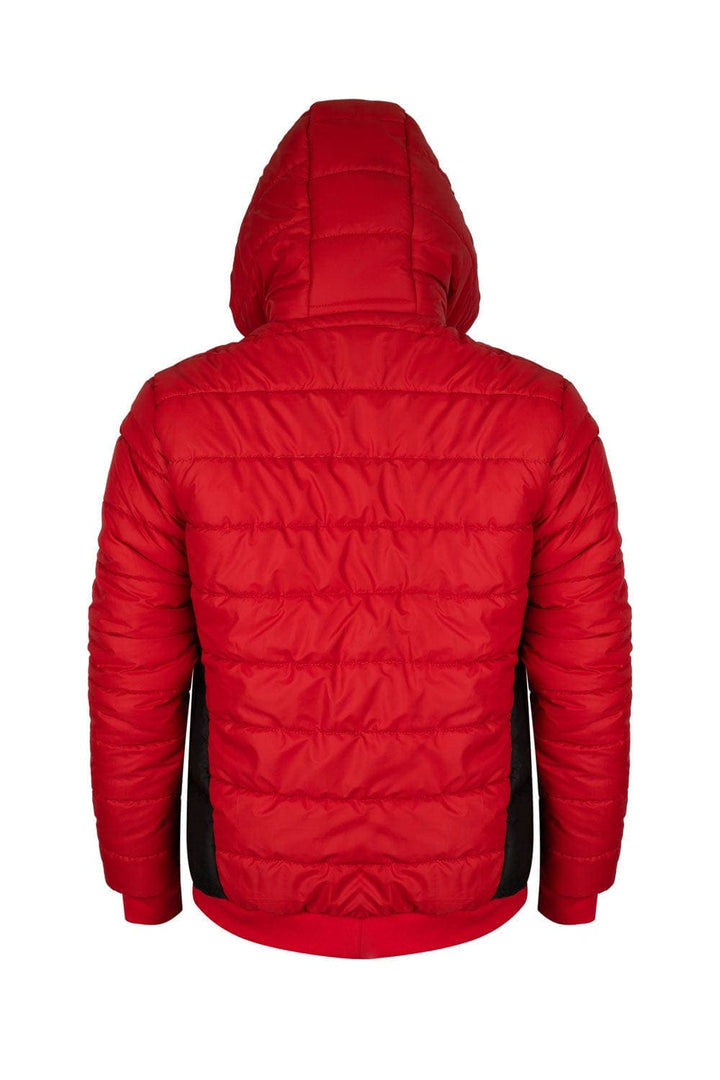 Bold Street Store -  High Fashion Puffer Jacket With Cut and Sew Panel and Hoodie